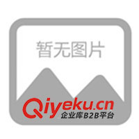 充電器，頭燈充電器，礦燈充電器 電池充電器(圖)